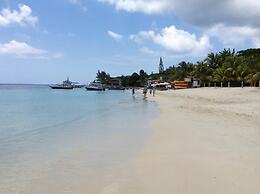 Tortuga Bahia Lower Unit