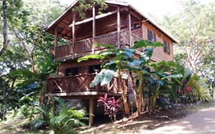 Tortuga Bahia Lower Unit