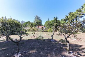 Sintra Classic Villa by Homing