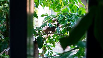 Comfy Bed Hostel - Adults Only