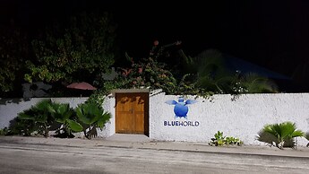 Blue World Dharavandhoo
