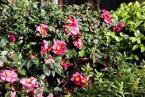 Umeyu No Yado by YADORU KYOTO HANARE