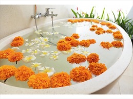 The Amerta Private Villa Ubud