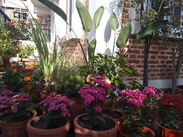 Queen Forest Homestay