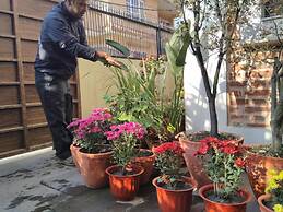 Queen Forest Homestay