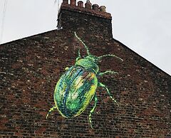 The Tansy House on Queen Street