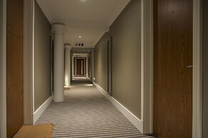 Chocolets - The Yorkie Suite