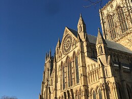 Chocolets - The Yorkie Suite