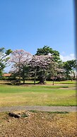 La Casa de Cariari Al Golf