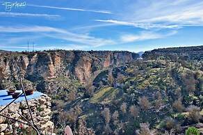 La Seguiriya