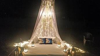 The Timber Garden Adventure Club