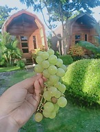 Ekas Garden Bungalow