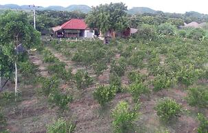 Ekas Garden Bungalow