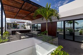 Areca 201 by CocoBR