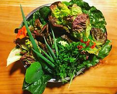 Karibuni - Familiar Lodging & Private Spa