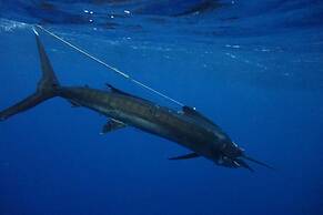 Vanuatu Uncharted Sport Fishing Lounge