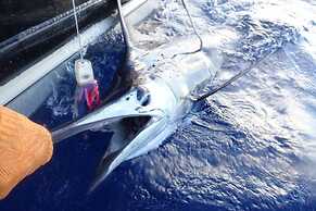 Vanuatu Uncharted Sport Fishing Lounge