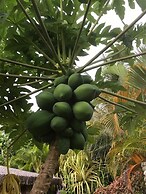 Vanuatu Uncharted Sport Fishing Lounge