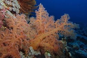Vanuatu Uncharted Sport Fishing Lounge