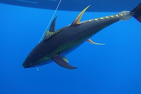 Vanuatu Uncharted Sport Fishing Lounge