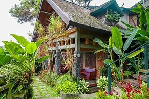Rumah Stroberi Organic Farm and Lodge