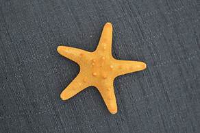 Appartamenti Oltremare