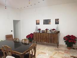 Spira Mirabilis Napoli