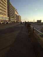 Spira Mirabilis Napoli