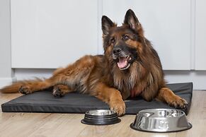 MARGI Brandy Apartament