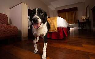 Wind River Hotel and Casino