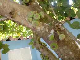 Pousada Golden Cataratas