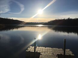Takleetnas Mount Dall Cottage with Wi-fi and washer/dryer