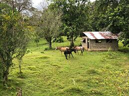 Casa Piedra