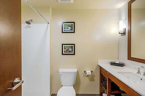 Comfort Suites Burlington near I-5