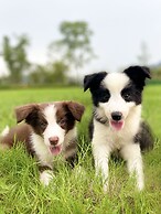 Conrad Hangzhou Tonglu