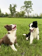 Conrad Hangzhou Tonglu