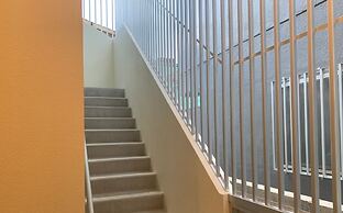 Mr.KINJO GOLDEN CATS