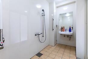 Mr.KINJO GOLDEN CATS