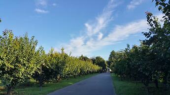 Chateau Monette Hotel & Resort