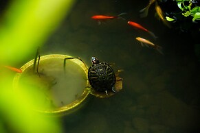 Floral Hotel Moganshan Yaozhuang