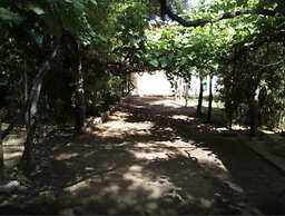 Hospedaje Los Quebrachos