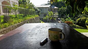 The blue Lagoon Hostel & Private Rooms