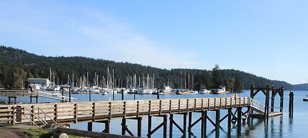 Kingfish at West Sound