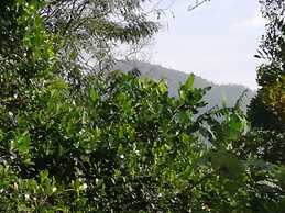 Foret De Vill - Hostel