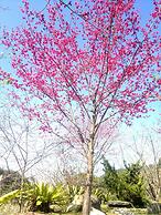 Valley Bed and Breakfast