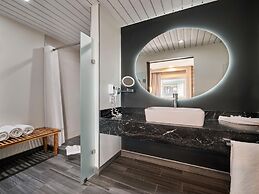 ibis Torreon