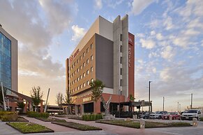 ibis Torreon