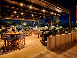 ibis Torreon