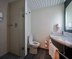 ibis Torreon