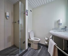 ibis Torreon